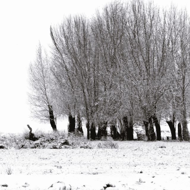 Las Castillas y Cataluña experimentan la noche más fría del invierno